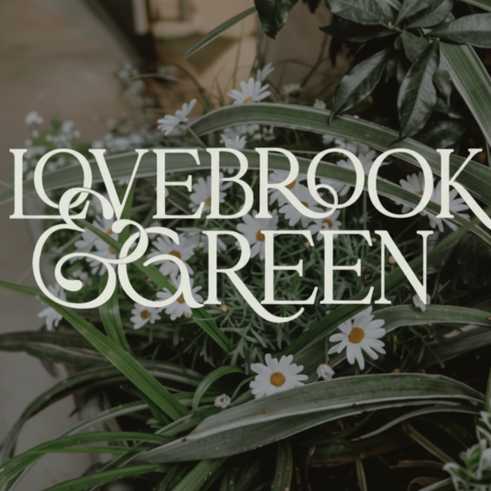 LOVEBROOK & GREEN IN RESIDENCE AT BRAMLEY