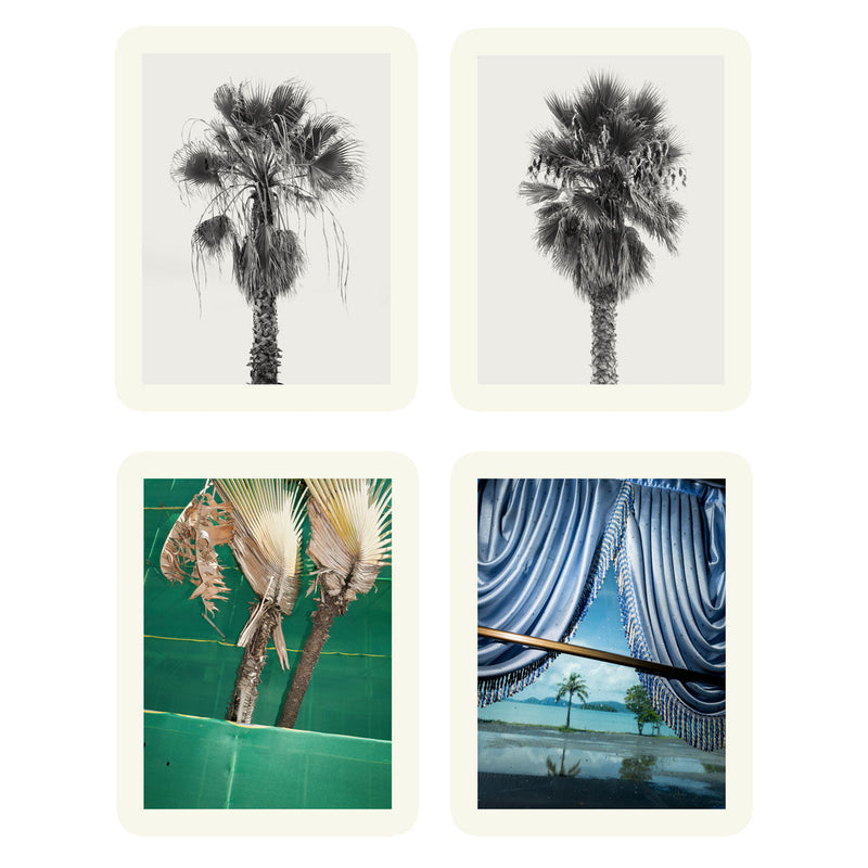 Photography Workshop with Benedict Brain